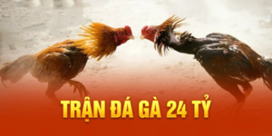 trận gà 24 tỷ