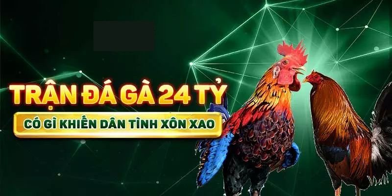 trận gà 24 tỷ kinh điển